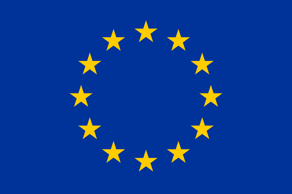 EU Logo